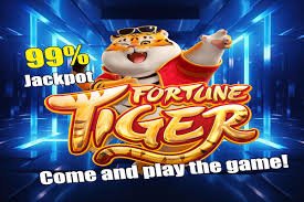 Cricket football and casino-style entertainment overview on bad 6